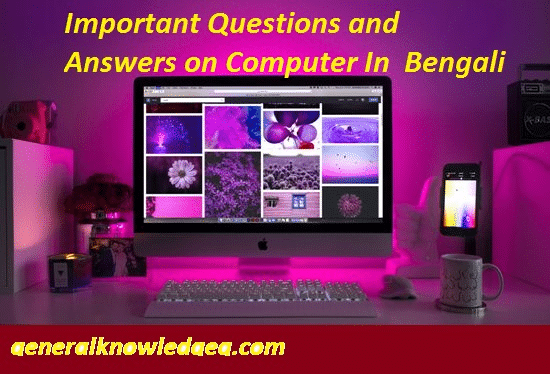 Important Questions and Answers on Computer